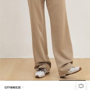 Wrinkle Free Basic Straight Slacks - Beige
Never worn new